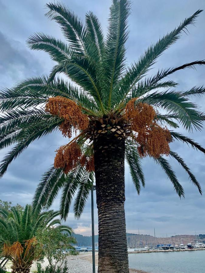 Apartman Ana Zeleni Pojas Bar Exteriör bild